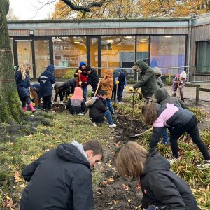 Grundschulkinder pflanzen den Frühling